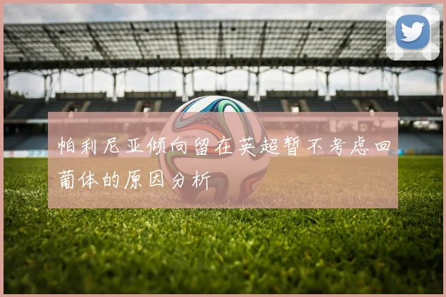 帕利尼亚倾向留在英超暂不考虑回葡体的原因分析